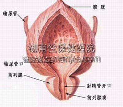 湖南治疗前列腺增生