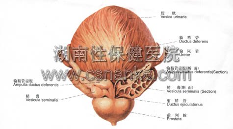 铜仁协仁男科医院