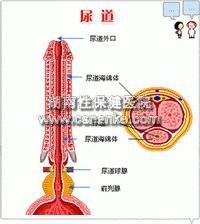 铜仁华南男科医院