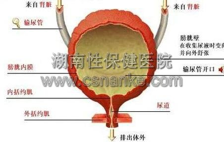 湖南治疗膀胱炎的医院