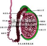 铜仁华南医院