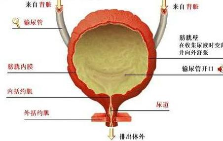 铜仁附睾炎的治疗医院哪家好