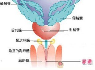 淋病的症状