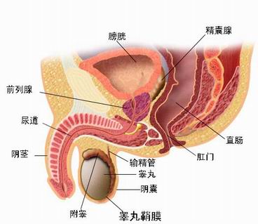 非淋症状