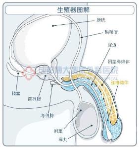 医院资质