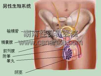 湖南治疗阳痿哪里好