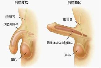 湖南治疗阳痿的医院