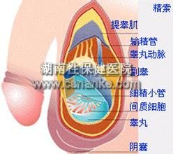 铜仁协仁医院男科