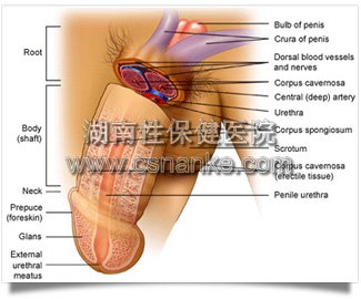 铜仁协仁医院男科医院