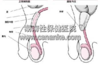 铜仁协仁男科医院