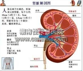 湖南性保健治疗早泄