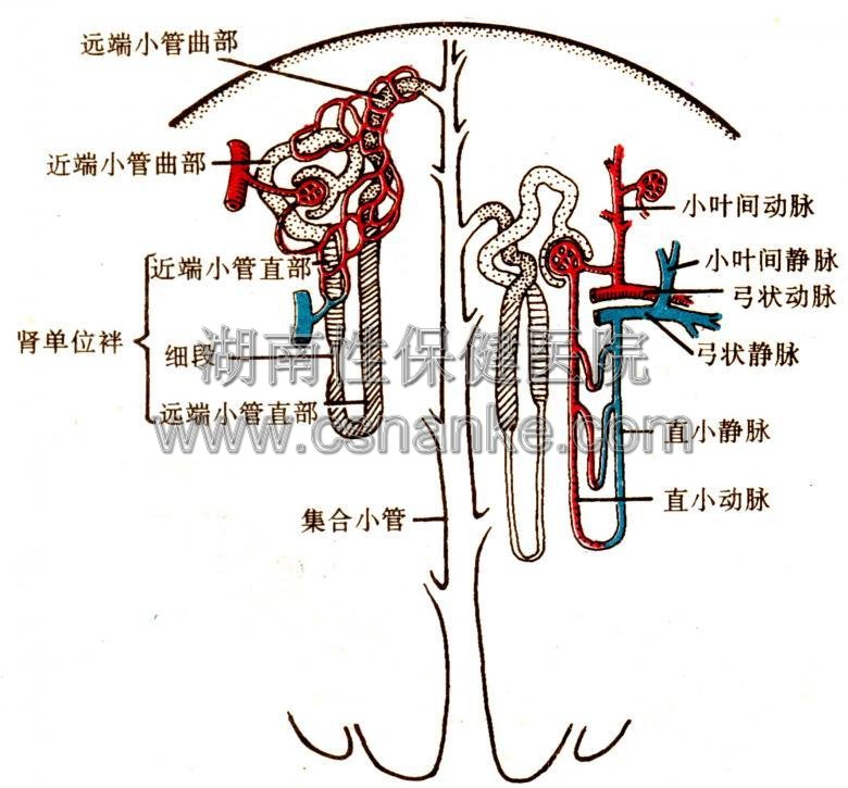 铜仁协仁医院