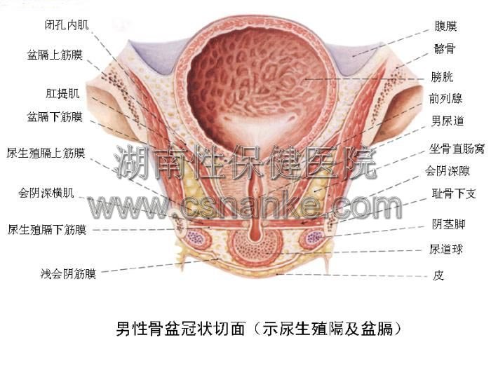 铜仁华南男科医院