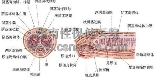 铜仁协仁医院男科医院