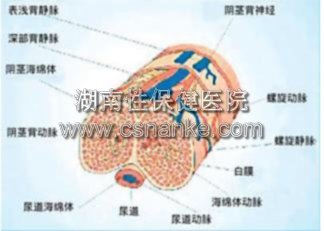 湖南性保健治疗早泄技术