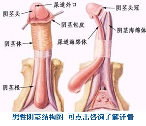 怎样提高性功能？