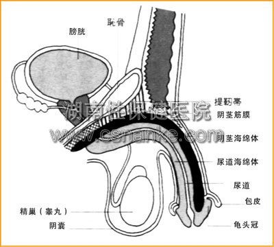 铜仁华南男科医院